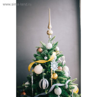    . , 150 , D   100 , 508   