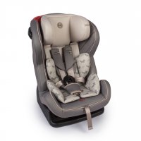  "Passenger V2" Gray