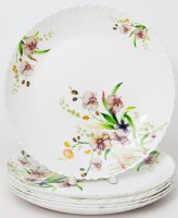   2    24   2  Olaff  , , 