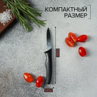     ,  7,5 ,  