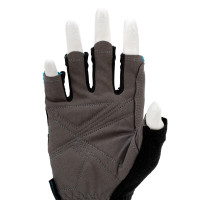   ,  , Aktiv,   (8) Gross