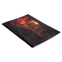  4, 48    Calligrata  ,  