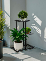 ��������� ��� ������ Greengo, 3 �����, 43 22 57 ��, ���������, ������, ������