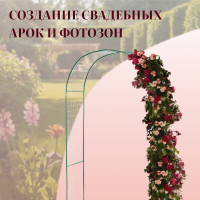 ���� �������, 230 125 50 ��, ��� �������� ��������, �������������, ������, ������, Greengo