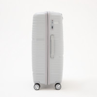   100  (l),   ,  , 4 ,  