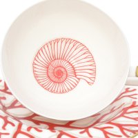    Falkenporzellan Corallo Red Gold (6 )