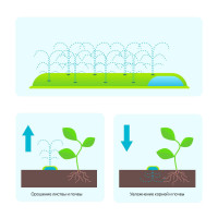    , , D = 12  (1/2), L = 5 , Greengo