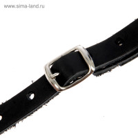      2, , (   9.5 ,   28 )