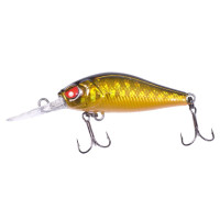  . Lj Pro Series Anira Lbsp, 3.9 ,  107