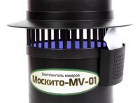     Mv-01