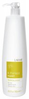 Revitalizing Shampoo Dry Hair (1000 )