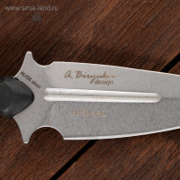 ��� �������� "�����"