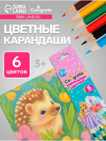  Calligrata , , 6 , , 