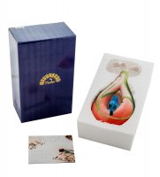 Fm-72/ 2    (pavone)