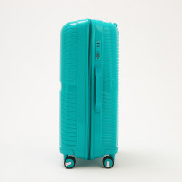   100  (l),   ,  , 4 ,  