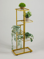    Greengo, 5 , 44 22 95 , , ,  