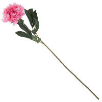 ������ ������������� ����, L18 W16 H80 ��