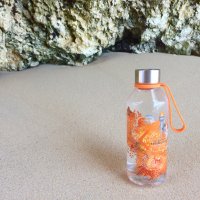   Wisdomflask Fire 0.65