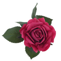   , L12 W11 H51 