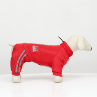 ���������� ������ � ���������������� ��������, ������ M (�� 30, �� 40, �� 30 ��), �������