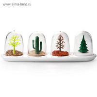     Four Seasons