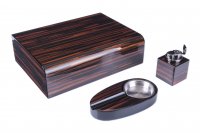 ���������� ����� �������� ����������� Tom River