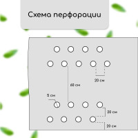  ,   (4 ), 20 1.6 ,  80 / ,   -, , Greengo, 