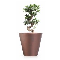    Prosperplast Tubus Corten 28,5,  