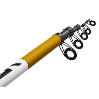     Salmo Blaster Tele Pike,  10-100 .,  3,6 .