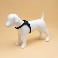  7  ,  S,  44-55 ,  5-9 , 