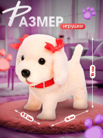    , , ,  ,  