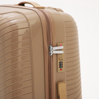   100  (l),   ,  , 4 ,  