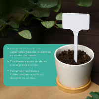 �������� �������, ��� ���������� ��������, 15 ��, ����� 10 ��., ������, �������, �����, Greengo