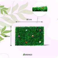  , 60 40 ,   , Greengo