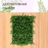  , 40 60 , , Greengo
