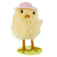    ( 12), L5 W4 H8 , 3.