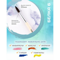   ,    6 (  6 ;   22 ),  , Calligrata