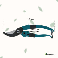  , 7 (18 ),   , Greengo
