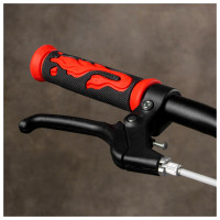  Dream Bike, 98 ,  /