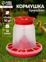       10 , 