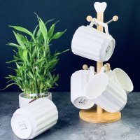   6  340 Bamboo      , Lenardi