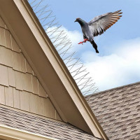   , 33 X 10 ,   39 ., 3 , Greengo