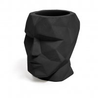     The Head 