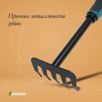  , , 5 ,  28.5 , ,   , Greengo