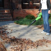   Greenworks 24v G24bl,  