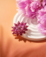 ����� ������� ����������, ���� ��������� � �������