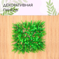  , 25 25 ,  , Greengo