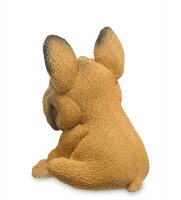 Rv-895     (w.Stratford)