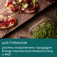    ,   , 50 25 , Greengo