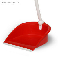 ����� Kiwi